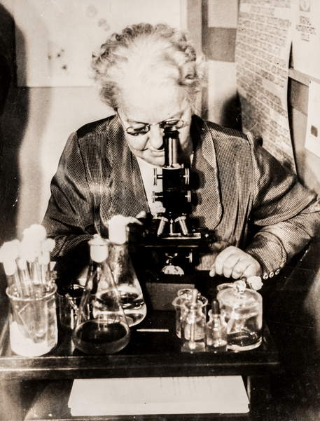 immagine della la Dottoressa Amy F. Rowland con un microscopio, Cleveland, OH, USA, 1930 (stampa alla gelatina d'argento) / Collezione privata / The Burns Archive and Museum of Historical Photography / Bridgeman Images