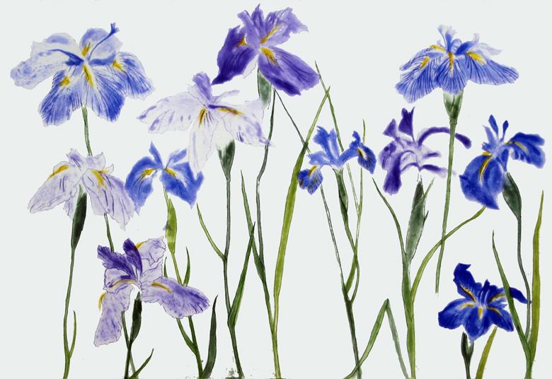 immagine del dipinto Irises, 2012 by Dame Elizabeth Blackadder (b.1931) Photo © The Scottish Gallery, Edinburgh / Bridgeman Images