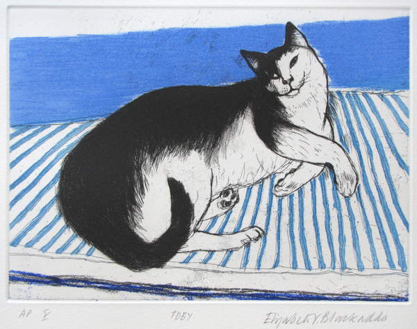 Image of a cat called Toby (coloured etching), Artist's Proof © Dame Elizabeth Blackadder / Courtesy of The Scottish Gallery, Edinburgh / Bridgeman Images